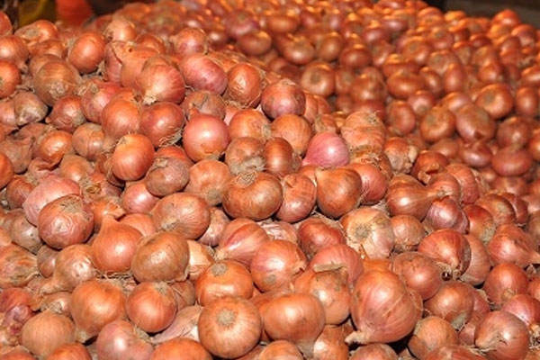 পিয়াজের কেজি ৫০ পয়সা!