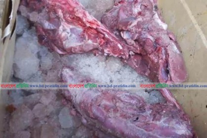 ২২ কেজি হরিণের মাংস উদ্ধার

