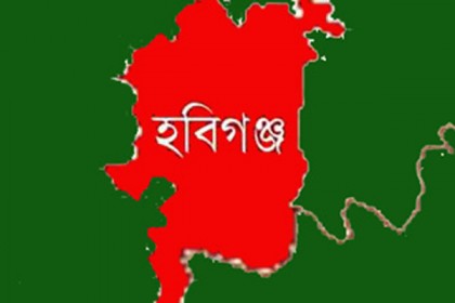 হবিগঞ্জে নারীর কঙ্কাল উদ্ধার, আটক ৪

