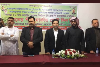 মদীনা বিএনপির নির্বাচনী সভা