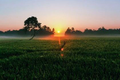 স্বাগতম ২০১৯, নতুন বছর নতুন স্বপ্ন