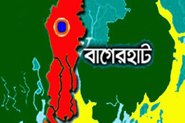 সুন্দরবনে হরিণ শিকারের ফাঁদ উদ্ধার
