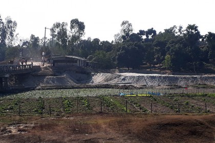 নদীর বুকে আলুসহ ফসলের চাষাবাদ 

