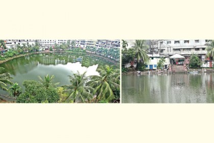 রাজধানীতে পুকুরচুরি