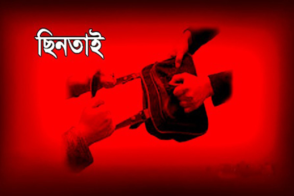 বগুড়ায় ৫ ছিনতাইকারী আটক

