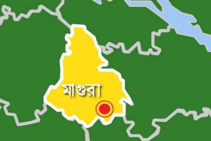 মাগুরায় রোলার চাপায় শ্রমিক নিহত


