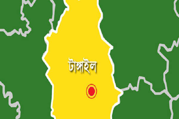 টাঙ্গাইলে বঙ্গবন্ধুর স্বদেশ প্রত্যাবর্তন দিবস পালিত