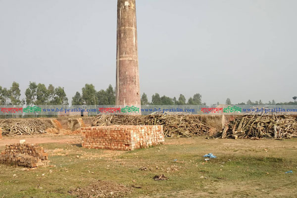 ঠাকুরগাঁওয়ে অবৈধভাবে গড়ে উঠছে ইটভাটা 