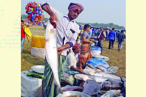 জামাই মেলায় মানুষের ঢল