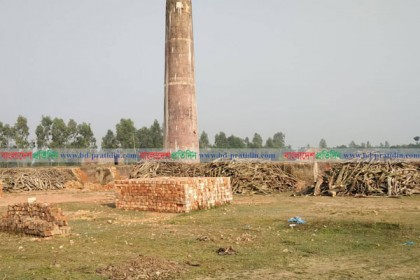 ঠাকুরগাঁওয়ে অবৈধভাবে গড়ে উঠছে ইটভাটা 