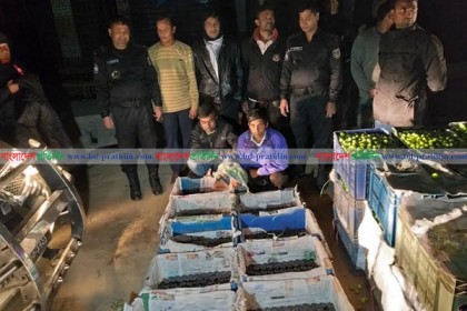 বরইয়ের কার্টনে মিলল ফেনসিডিল