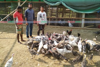 হালুয়াঘাটে মিশ্র খামারে ১০ তরুণের সাফল্য 