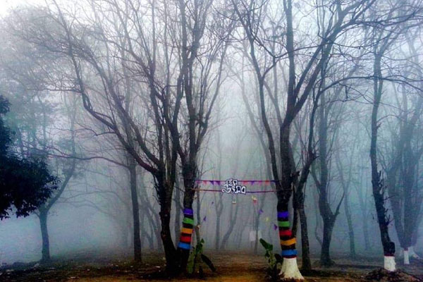 জাবিতে ৩ দিনব্যাপী হিম উৎসব শুরু 

