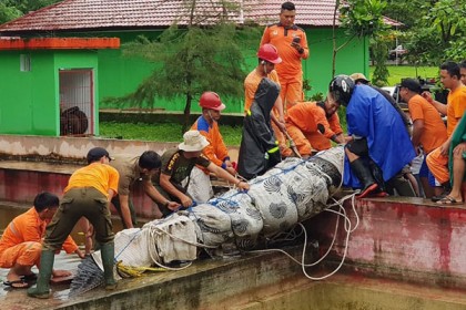 পোষ্য কুমিরের হামলায় ইন্দোনেশিয়ান নারী বিজ্ঞানীর মৃত্যু
