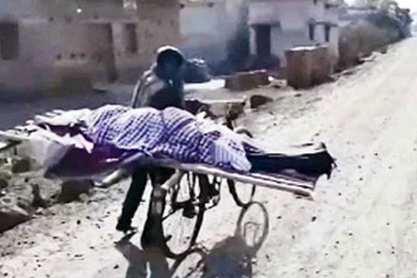 সাইকেলে মায়ের লাশ নিচ্ছেন ছেলে