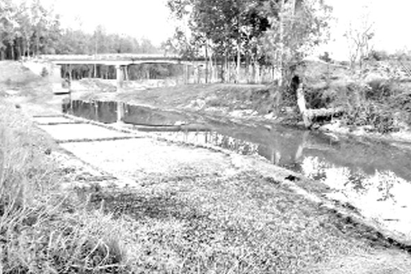 খরস্রোতা শাখা যমুনা এখন মরা খাল