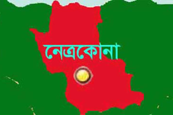 নেত্রকোনার মদনে অধ্যক্ষের ওপর হামলার প্রতিবাদ 

