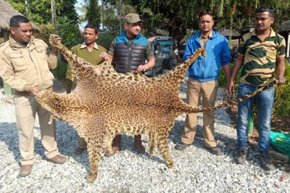 চিতার মাংস দিয়ে পিকনিক, গ্রেফতার ৫