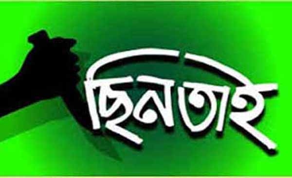 ছিনতাইকারীর কবলে ঢাবি শিক্ষক