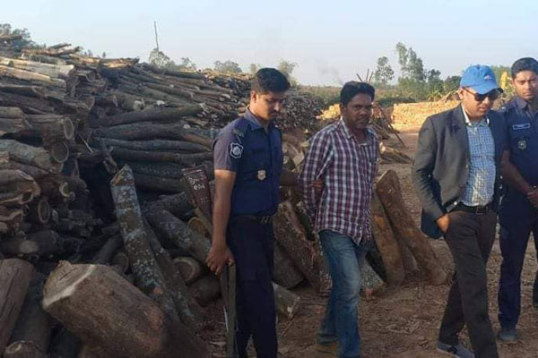 চট্টগ্রামে ইটভাটা থেকে ৫০০ মণ কাঠ জব্দ


