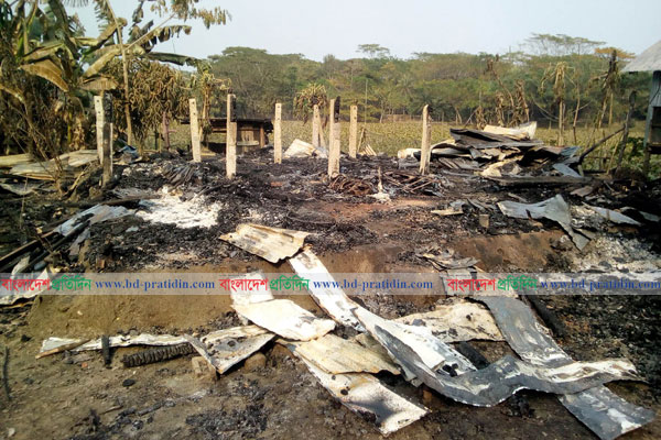কলাপাড়ায় কৃষকের হাত-পা বেঁধে ঘরে পেট্রোল ঢেলে আগুন


