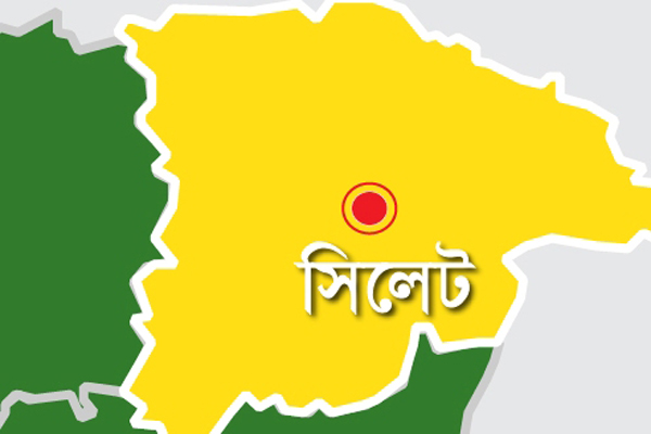 সিলেটে বর্ধিত সভা করে প্রার্থী বাছাই করবে আওয়ামী লীগ

