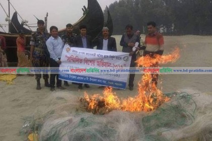 টেকনাফে বিপুল পরিমাণ কারেন্ট জাল পুড়িয়ে ধ্বংস