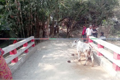 ঝিনাইদহে ভুয়া প্রকল্পে রাস্তাবিহীন খালে ব্রীজ! 