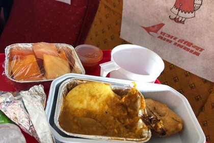 এয়ার ইন্ডিয়ার খাবারে আবারও তেলাপোকা