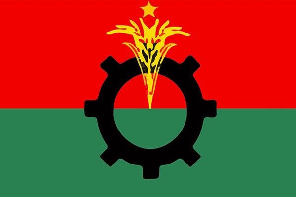 বিএনপির ঢাউস কমিটির কাজ কী?