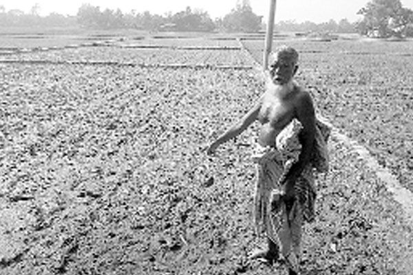 সেচ সংকটে ১২০০ একর আবাদি জমি