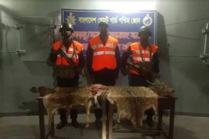 সুন্দরবন থেকে হরিণের মাংস উদ্ধার

