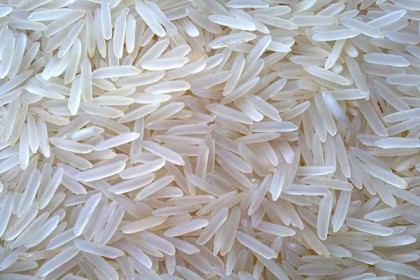 গাইবান্ধায় ‘প্লাস্টিকের চাল', জরুরি বৈঠক