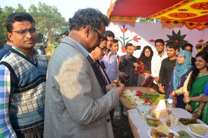 নোবিপ্রবিতে বইমেলা ও পিঠা উৎসব

