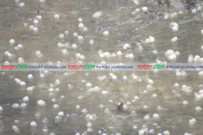 দিনাজপুরের হঠাৎ গুড়ি গুড়ি ও শিলা বৃষ্টি
