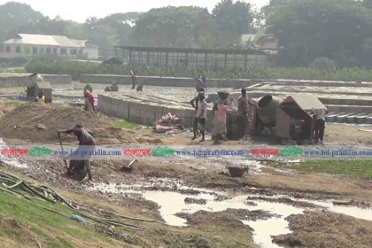 নেত্রকোনার হাওরে বাঁধ নির্মাণে গাফিলতি, ফের ফসলহানির আশঙ্কা