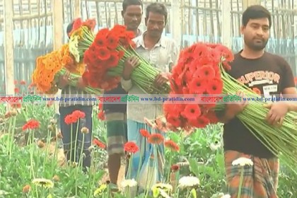 '২০০ কোটি টাকার বেশি ফুল বাণিজ্য হবে এ মাসে'