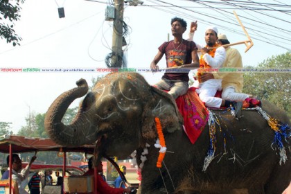 হাতির পিঠে চড়ে জমা দিলেন মনোনয়নপত্র