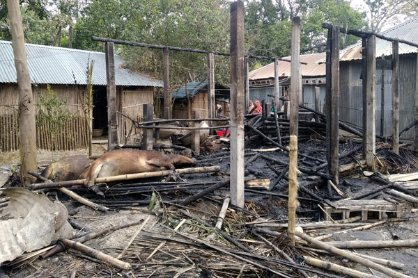 নাটোরে আগুনে দিনমজুরের ঘরসহ গবাদি পশু পুড়ে ছাই