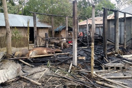 নাটোরে আগুনে দিনমজুরের ঘরসহ গবাদি পশু পুড়ে ছাই