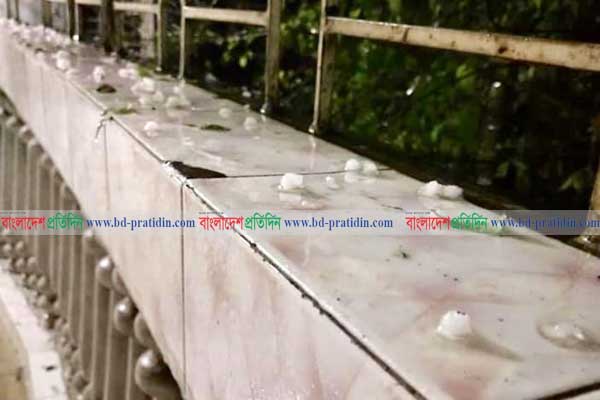রাজশাহীতে শিলাবৃষ্টিতে আমের ক্ষতি