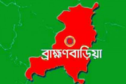 বিজয়নগরে সড়ক দুর্ঘটনায় অটোরিকশার চালক নিহত