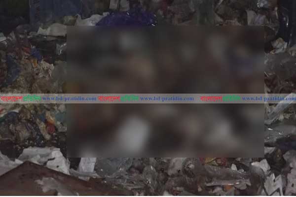 মেডিকেলের ডাস্টবিনে ৩১ অপরিণত শিশুর মরদেহ নিয়ে তোলপাড়!