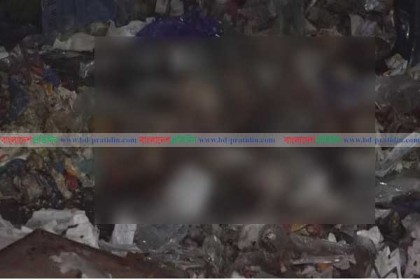 মেডিকেলের ডাস্টবিনে ৩১ অপরিণত শিশুর মরদেহ নিয়ে তোলপাড়!