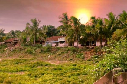 পুরো গ্রামই কিডনি রোগে আক্রান্ত!