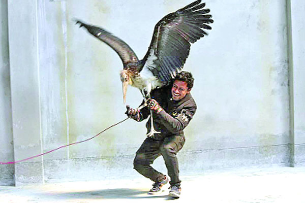 সিরাজগঞ্জে বিরল মদনটাক উদ্ধার