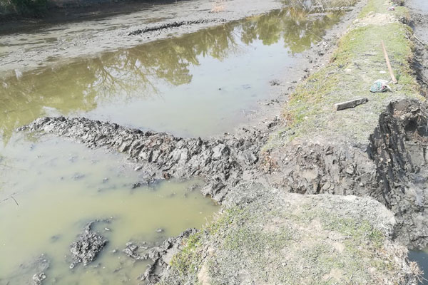 বাগেরহাটে রাতের আধারে চিংড়ি খামার কেটে ৩ লাখ টাকার ক্ষতি