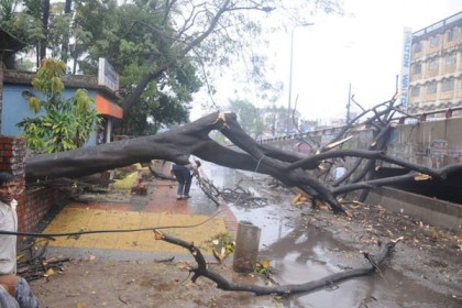 চট্টগ্রামে বৃষ্টিতে দুর্ভোগ, গাছ ভেঙে সড়কে

