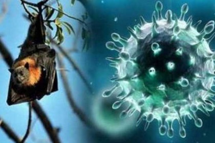 সন্দেহভাজন নিপাহ ভাইরাস রোগীকে চিকিৎসায় অনাগ্রহ, বিপাকে পরিবার
