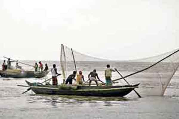 পদ্মা-মেঘনায় দুই মাস মাছ ধরা নিষিদ্ধ